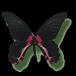 babo4ka Papilio Rumanzovia, 28 мая , Севастополь, id24982522